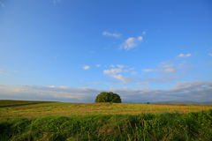 大地のへそ