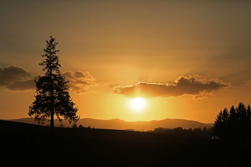 美瑛の夕暮れ