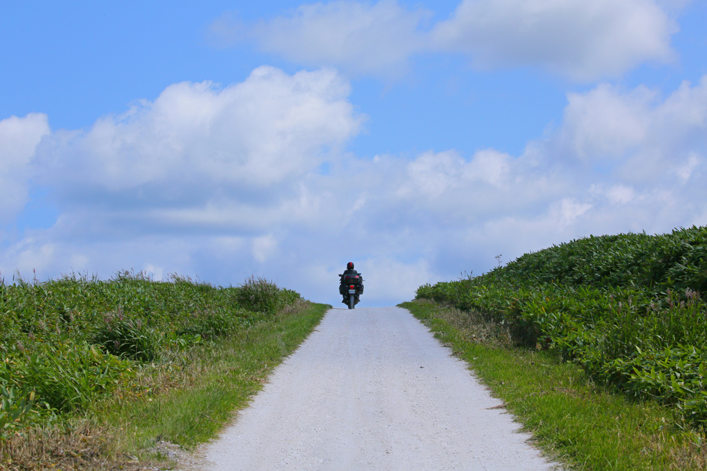 バイクで走りたい