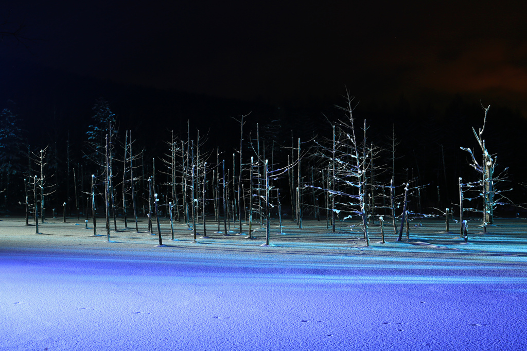 Ｂｌｕｅ　Ｌａｇｏｏｎ