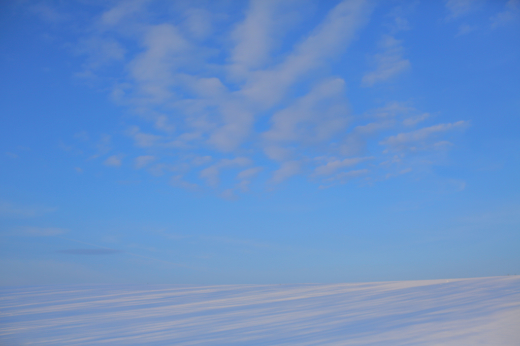 冬の空