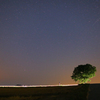 大人の夜遊び