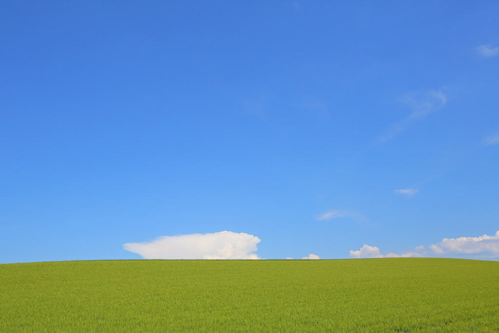 丘の上の雲