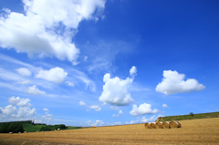 麦稈ロールと夏の空