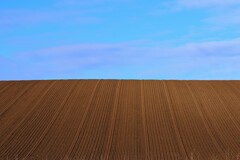 今年は何が植えられるかな？