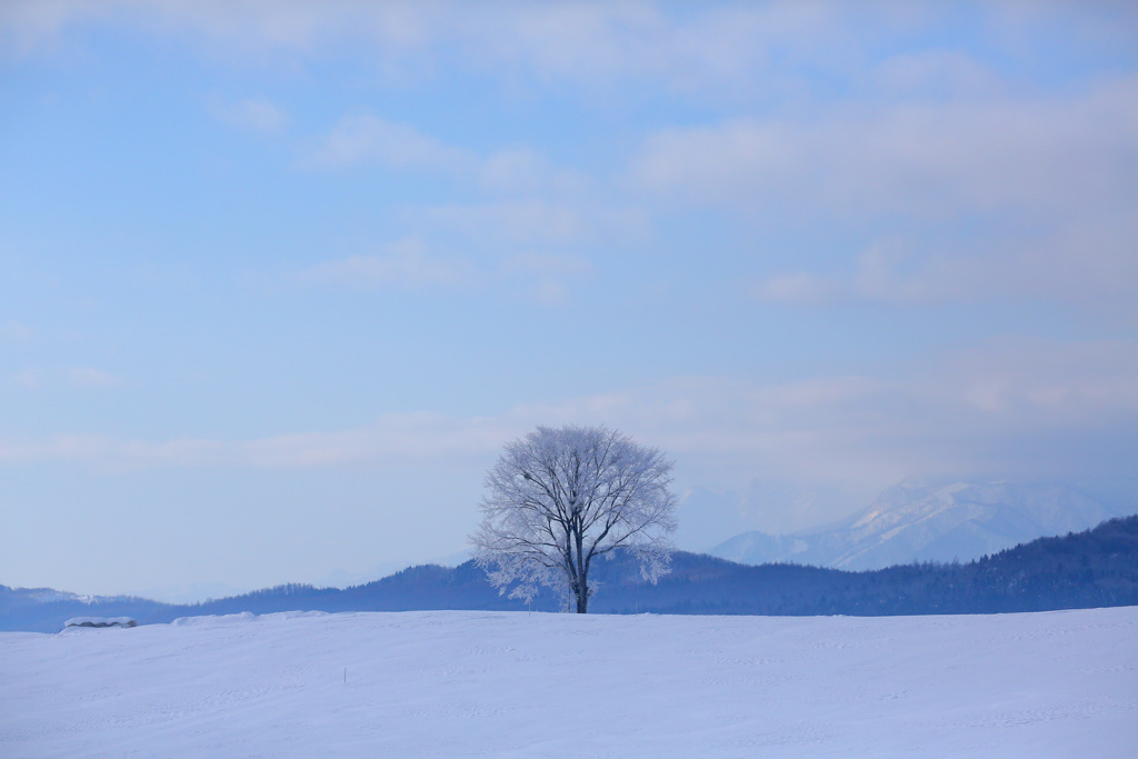 過ぎ去りし日々