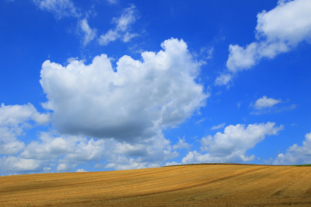 Big cloud