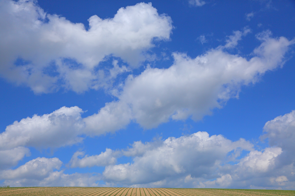 The Sky