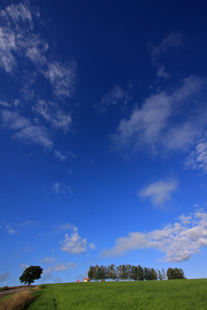 青空と大地と・・・