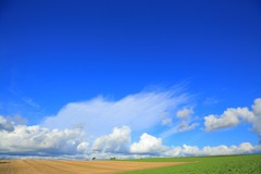 真夏の空