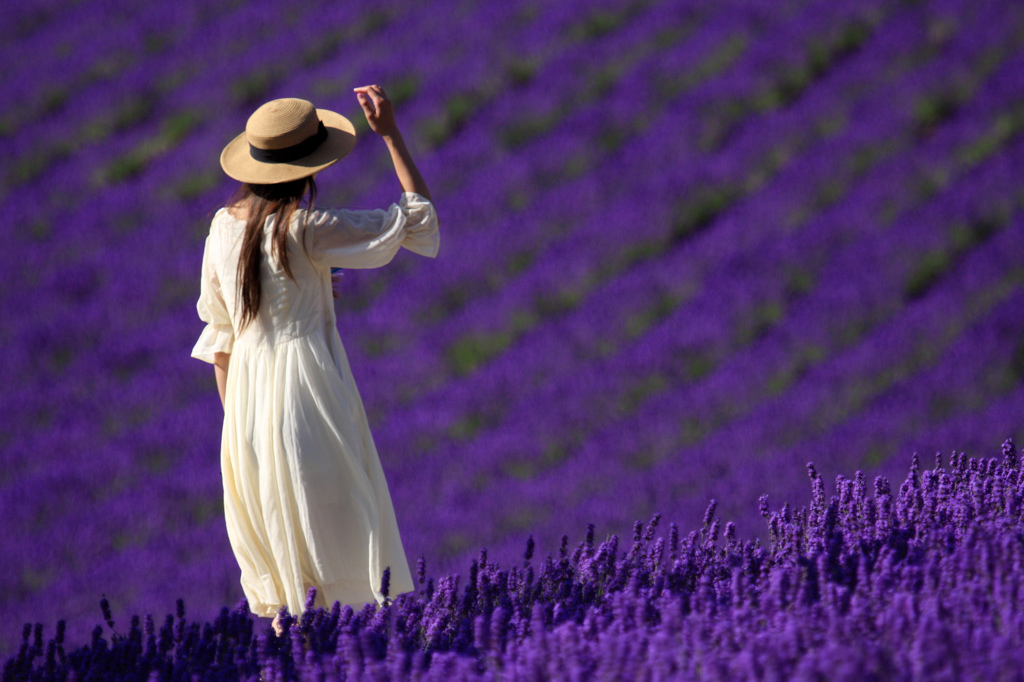 ＬＡＶＥＮＤＥＲ　ＧＩＲＬ