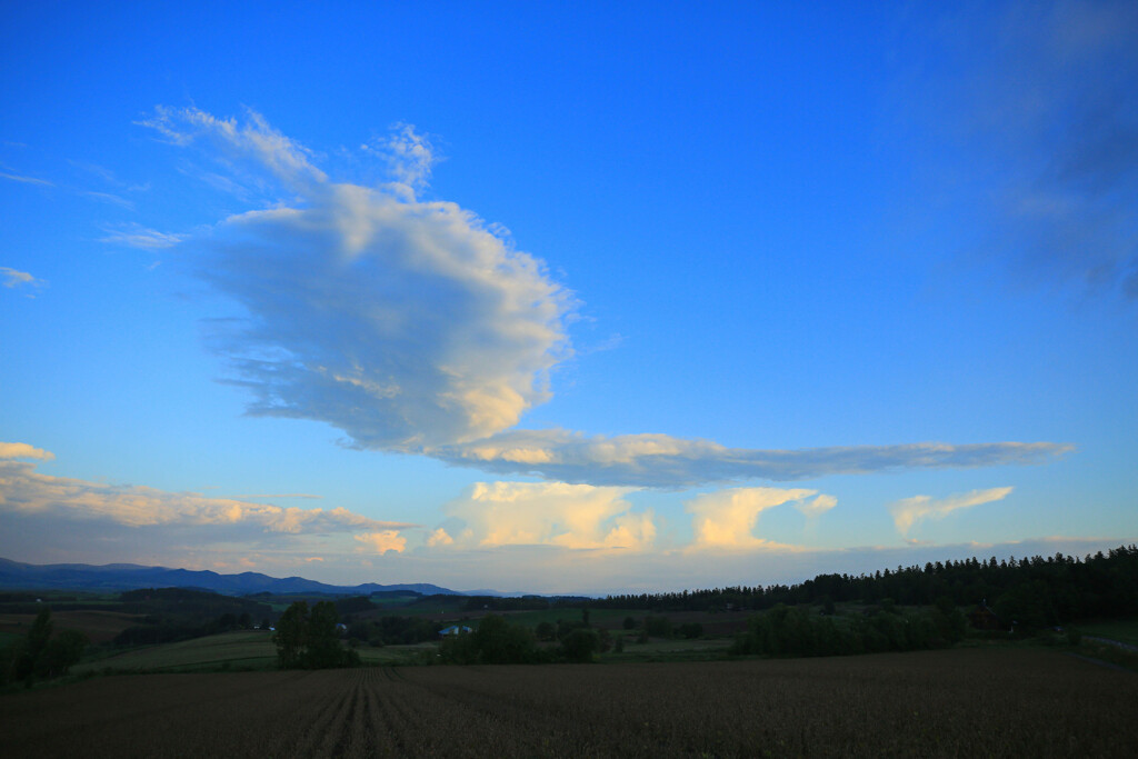 早朝の深呼吸をして