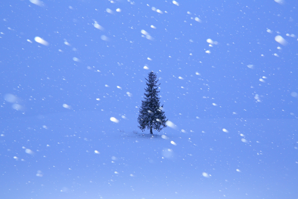 雪物語