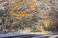 季節のコラボレーション