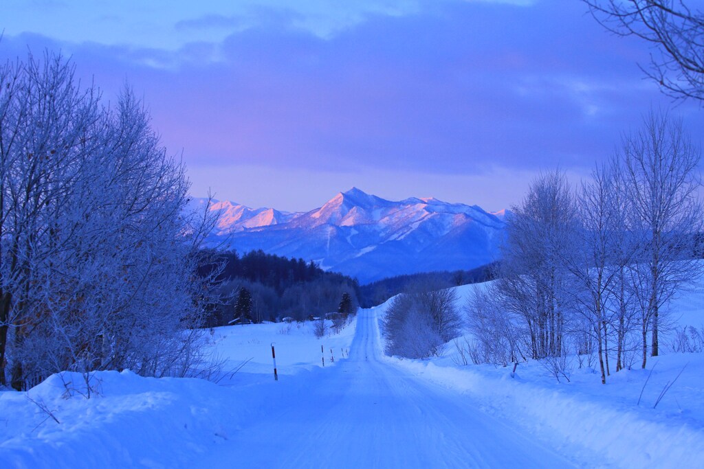 極寒の中の暖かさ