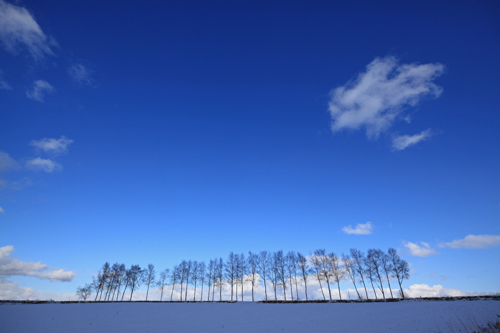 冬の青い空