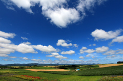 北海道　夏景色