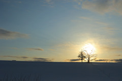 真冬の黄昏どき