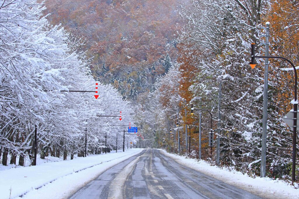 季節の変わり目
