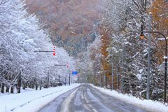 季節の変わり目