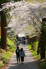 遅い春の一日