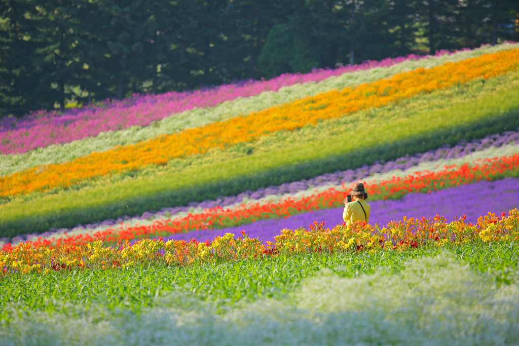 お花畑にて