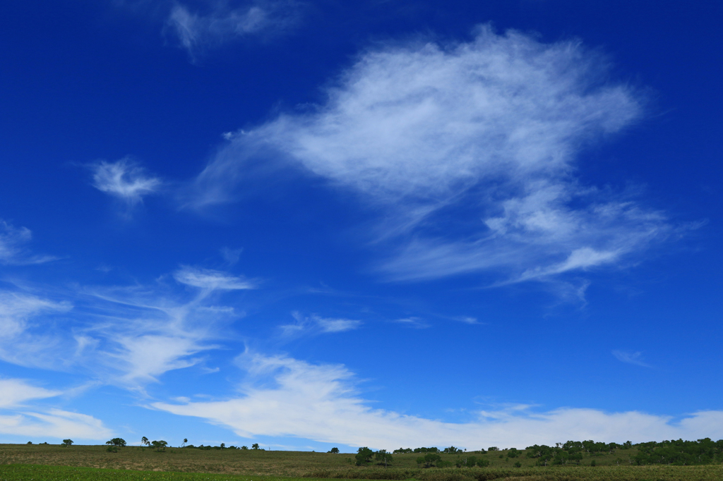 THE　雲