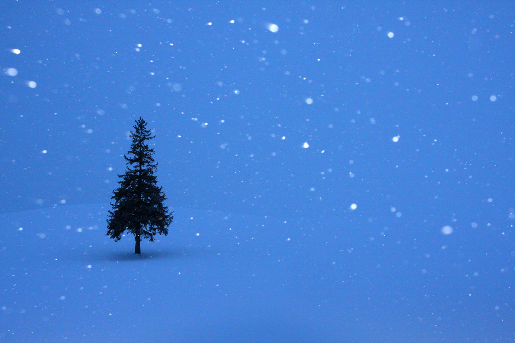 なごり雪