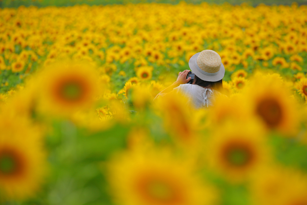 夏の思い出