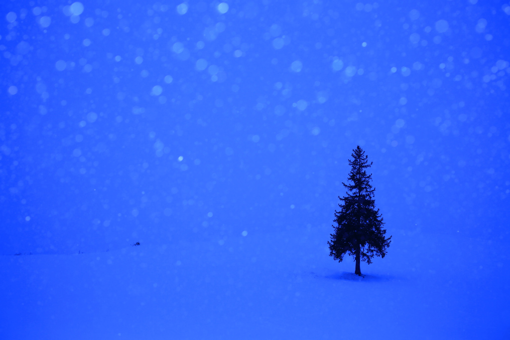 雪に願いを・・・MerryChristmas！