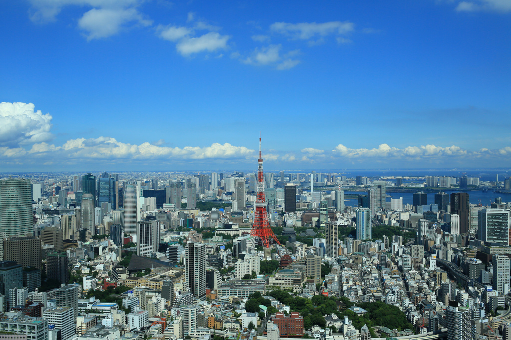 東京タワー