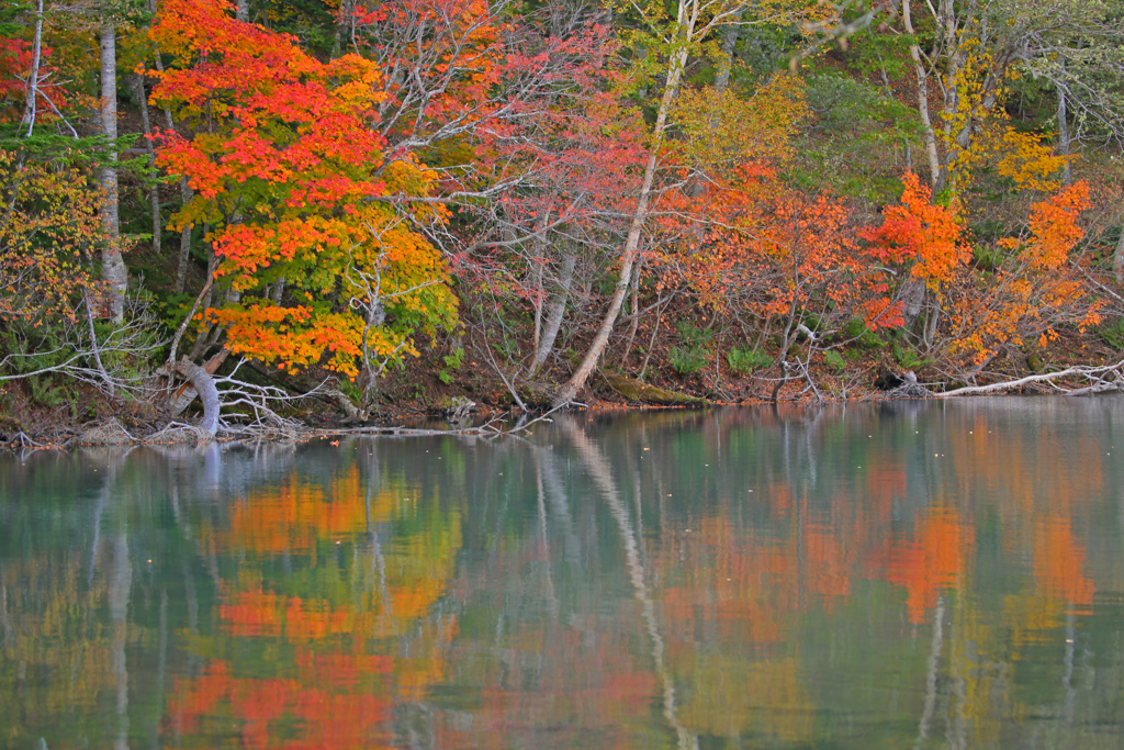 秋彩の湖面