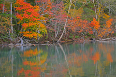 秋彩の湖面