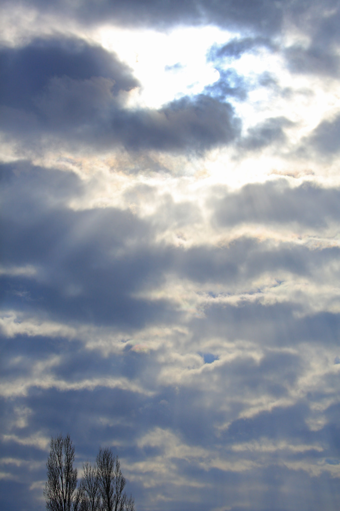 冬空