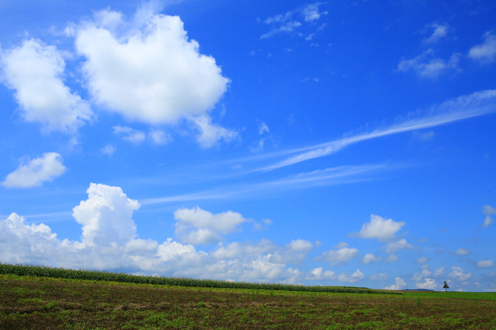 北海道の短い夏