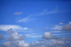 梅雨のない北海道だけど