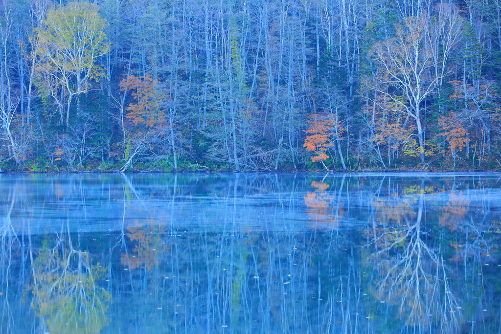 晩秋の湖