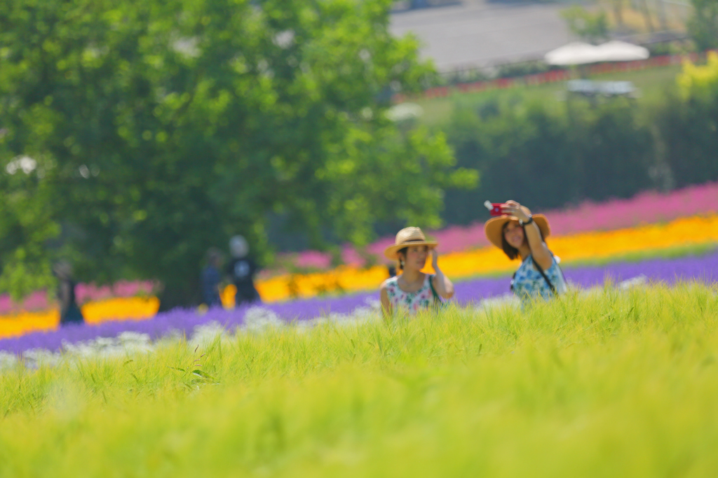 思い出づくり　夏