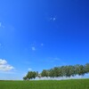 次はに、ならないように願います。