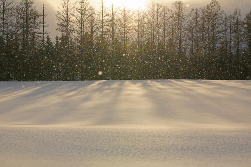 雪は降る