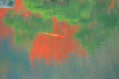 秋彩の池