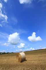 青空と雲と麦稈ロール