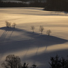 雪原