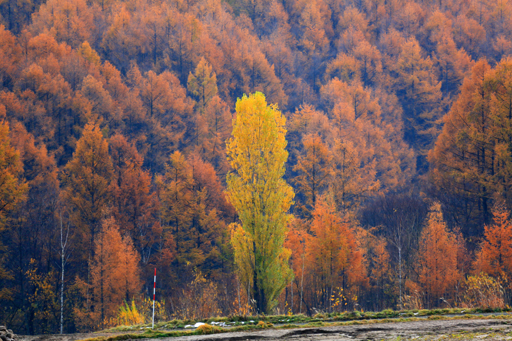 見つめて欲しい