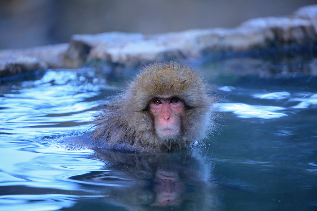 冬は温泉