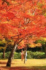 秋の一日