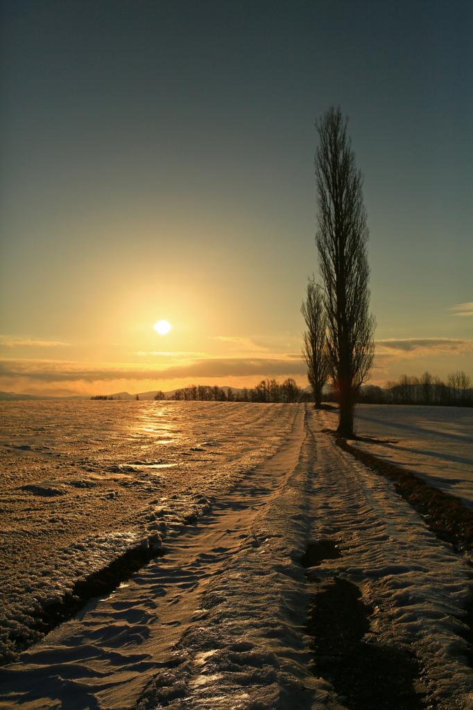 Scene