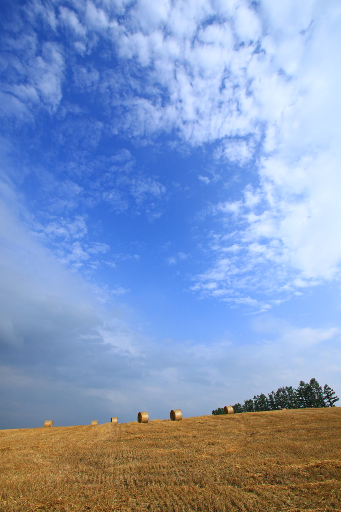 北海道　夏景色