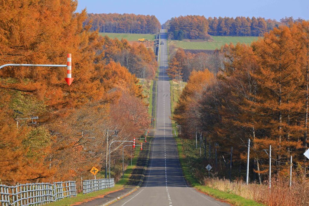 ライダーの聖地　秋