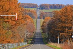 ライダーの聖地　秋